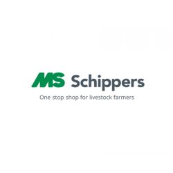 msschippers-logo-3